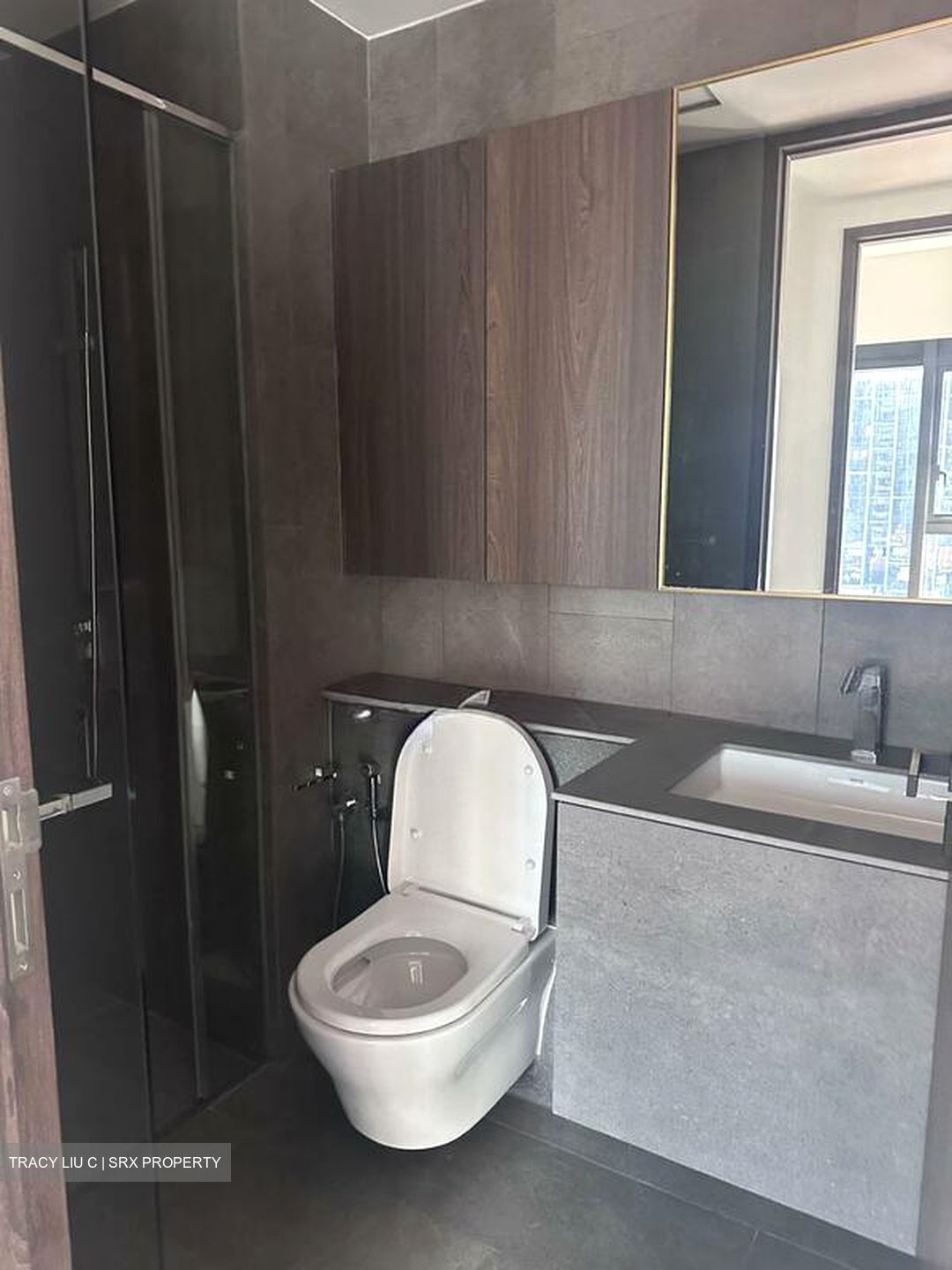 Midtown Modern (D7), Apartment #497362111